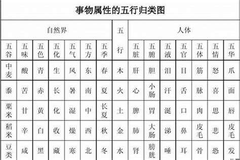 畯五行|铫字的五行属性